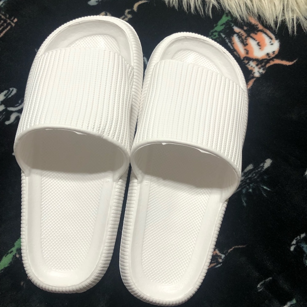 Slides